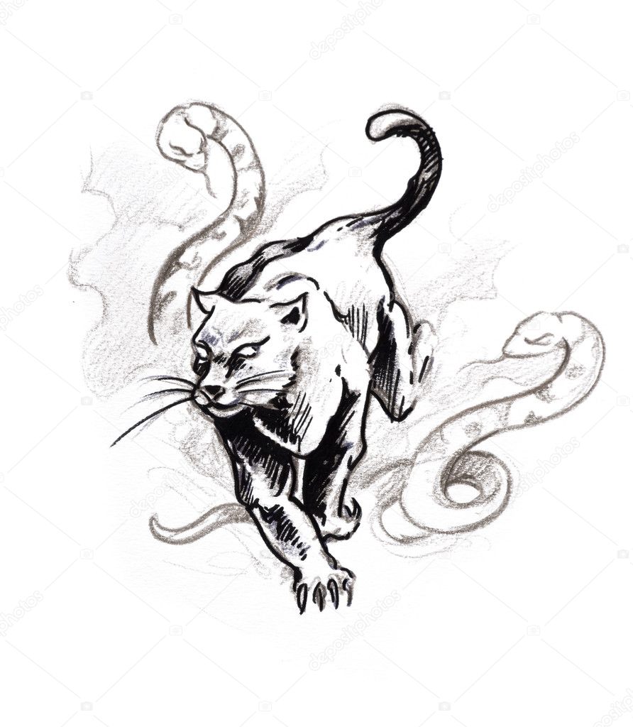 Tattoo art, sketch of a panther Stock Photo by ©outsiderzone 8685312
