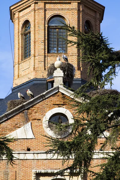 Çatı ile leylek — Stok fotoğraf