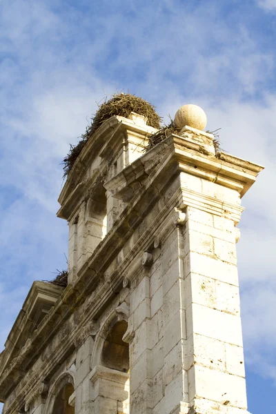 Крыша с аистами — стоковое фото