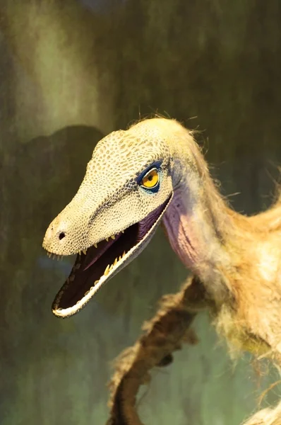 Dinoszaurusz csontváz — Stock Fotó