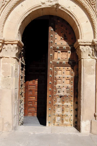 오래 된 문 — 스톡 사진