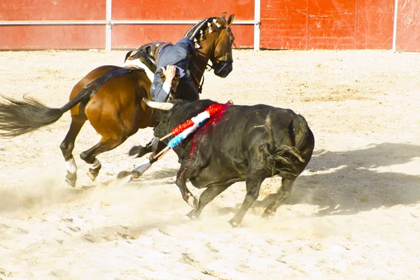 Peleas de toros a caballo. Típica corrida de toros española . —  Fotos de Stock