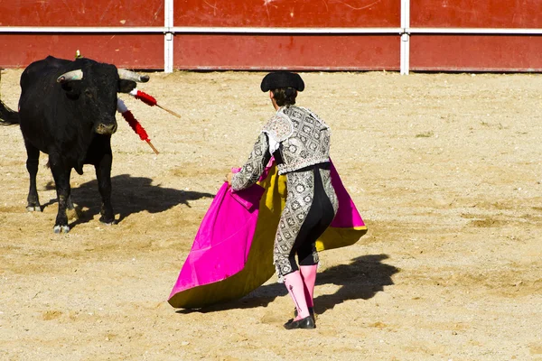 Матадор и бык в корриде. Мадрид, Испания . — стоковое фото
