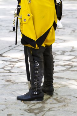 Veraset Savaşı canlandırma sırasında Kraliyet Muhafızı