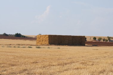 payet saman, tahıl kırpma alanı