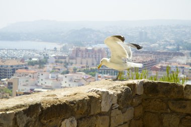 Arap Kalesi denia, İspanya