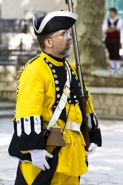 Royal Guardsman during the re-enactment of the War of Succession — Stock Photo, Image
