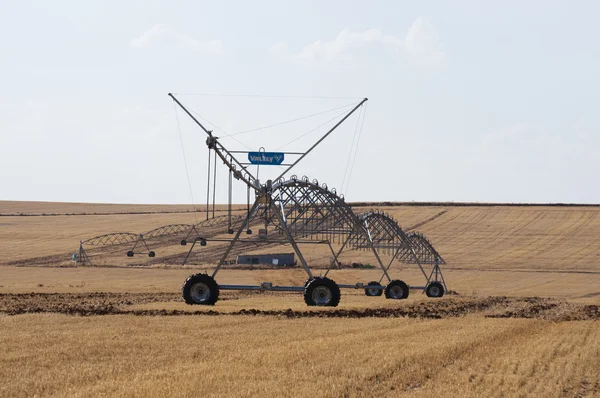 stock image Straws of hay, grain crop field