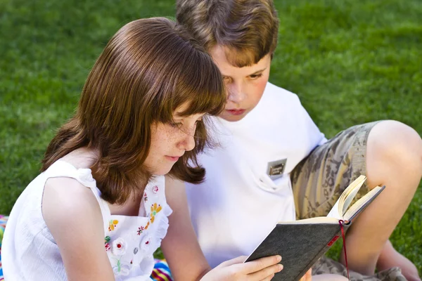 Portrait of cute kids reading books in natural environment — Stock Photo, Image