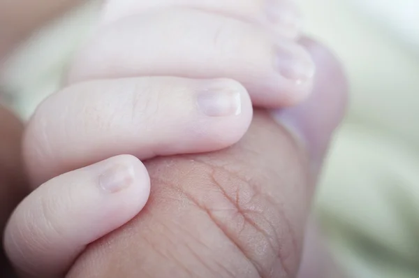 Nyfödda hand — Stockfoto