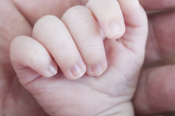 Nyfödda hand — Stockfoto