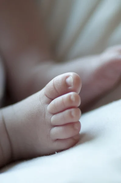 Pasgeboren voet — Stockfoto