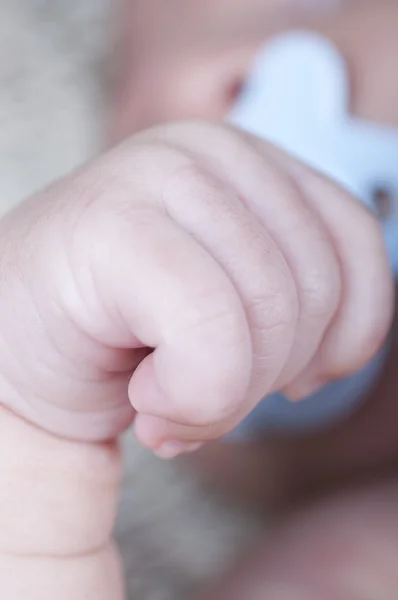 新出生的手 — 图库照片