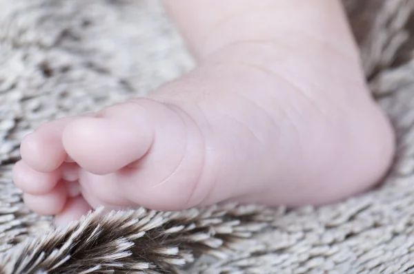 新しい生まれの足 — ストック写真