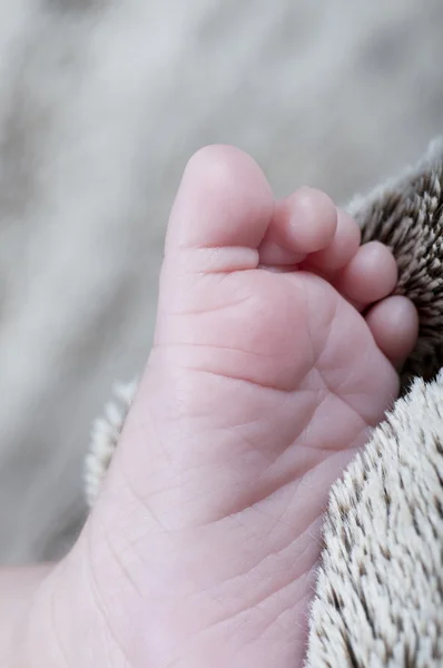 Pasgeboren voet — Stockfoto