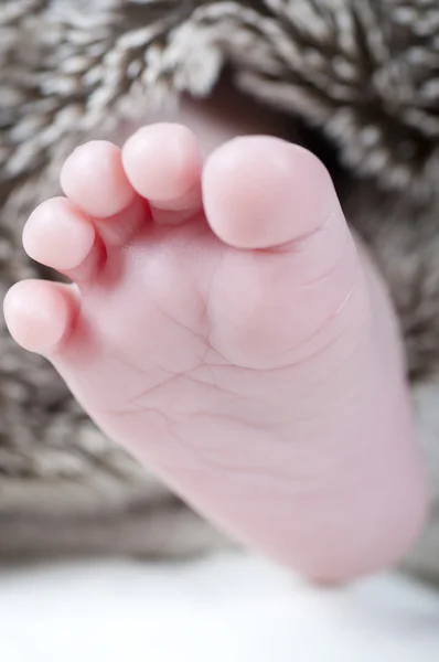 Neugeborener Fuß — Stockfoto