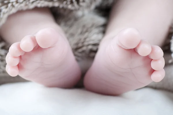 Yeni doğan ayak — Stok fotoğraf