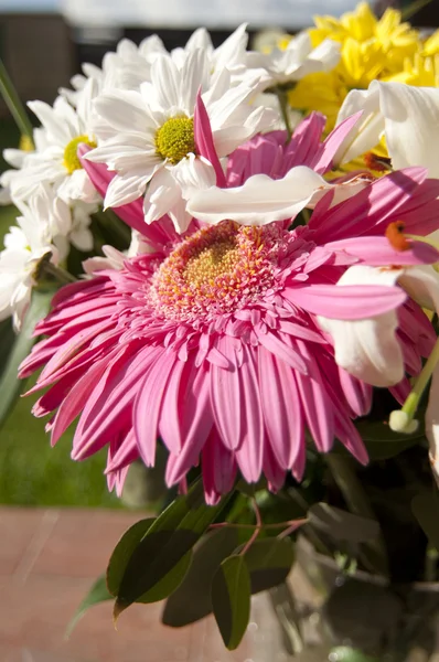 stock image Flower details