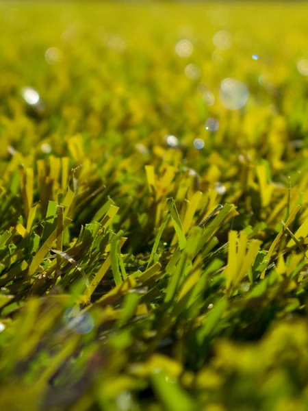 Штучна трава — стокове фото