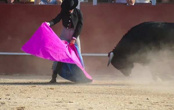 スペインからの闘牛写真。黒牛 — ストック写真