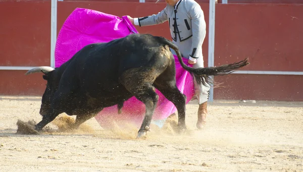İspanya 'dan boğa güreşi filmi. Kara boğa — Stok fotoğraf