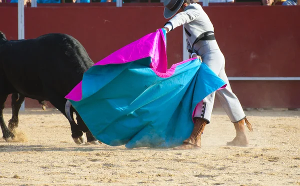 Bojující býk ze Španělska. Černý býk — Stock fotografie