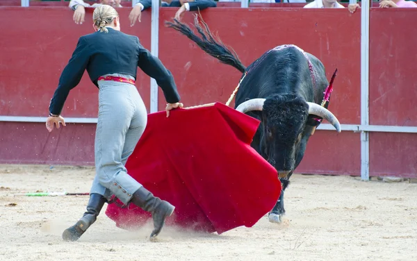 Vechten tegen stierenfoto uit Spanje. Zwarte stier — Stockfoto