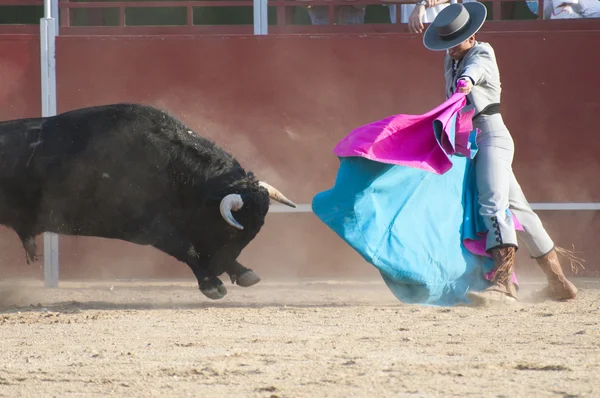 Harcoló bikafilm Spanyolországból. Fekete bika — Stock Fotó
