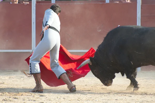 Πολεμώντας την εικόνα ταύρου από την Ισπανία. Μαύρος ταύρος — Φωτογραφία Αρχείου