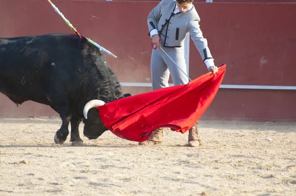 Bojující býk ze Španělska. Černý býk — Stock fotografie