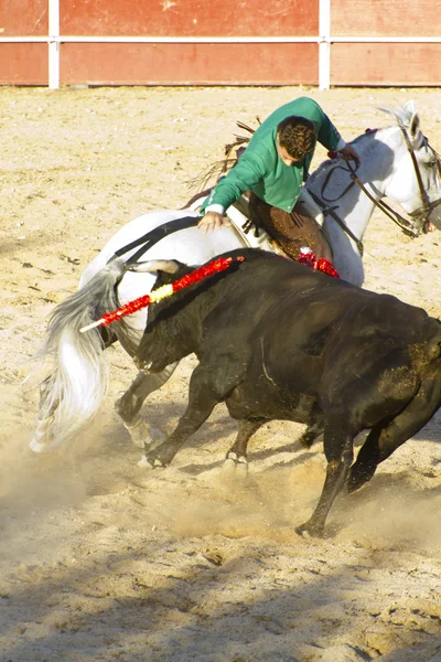 Madrid, Spanyolország - szeptember 10.: spanyol bikaviadal. szeptember 10., — Stock Fotó