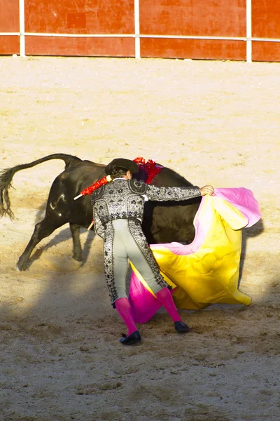 Matador i byk w walki byków. Madrid, Hiszpania. — Zdjęcie stockowe