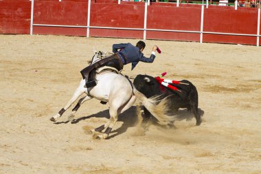 Bullfight on horseback. Typical Spanish bullfight. clipart