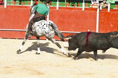 Madrid, İspanya - 10 Eylül: İspanyol boğa güreşi. 10 Eylül,