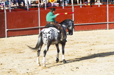 Madrid, İspanya - 10 Eylül: İspanyol boğa güreşi. 10 Eylül,