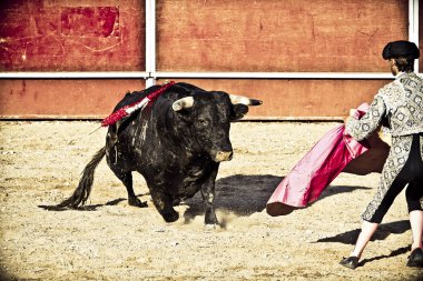 Matador ve boğa güreşi. Madrid, İspanya.