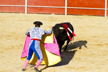 Matador ve boğa güreşi. Madrid, İspanya.