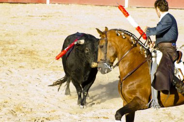 MADRID, SPAIN - SEPTEMBER 10: spanish bullfight. September 10, clipart