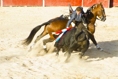 Madrid, İspanya - 10 Eylül: İspanyol boğa güreşi. 10 Eylül,