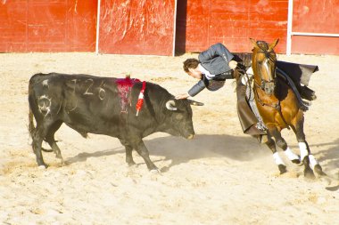 Madrid, İspanya - 10 Eylül: İspanyol boğa güreşi. 10 Eylül,