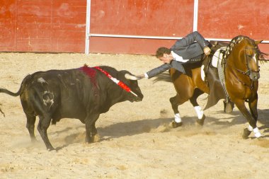 Madrid, İspanya - 10 Eylül: İspanyol boğa güreşi. 10 Eylül,