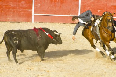 Madrid, İspanya - 10 Eylül: İspanyol boğa güreşi. 10 Eylül,