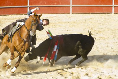 Madrid, İspanya - 10 Eylül: İspanyol boğa güreşi. 10 Eylül,