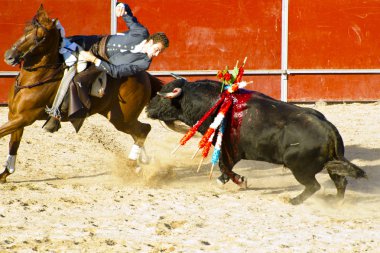 Madrid, İspanya - 10 Eylül: İspanyol boğa güreşi. 10 Eylül,