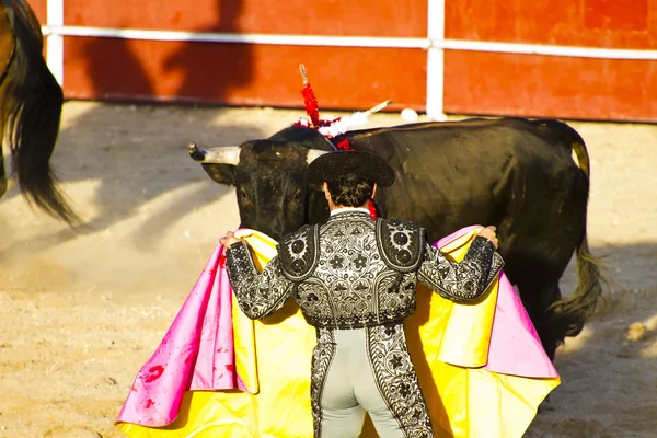 Matador and bull in bullfight. Madrid, Spain. — Stock Photo, Image