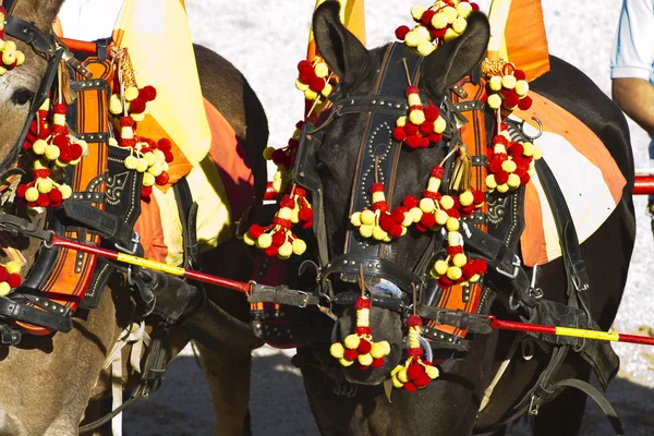 İspanya boğa resim mücadele. atlar — Stok fotoğraf