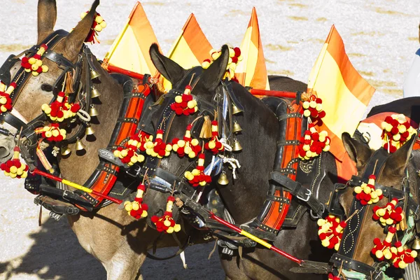 Bojování býka obrázek ze Španělska. koně — Stock fotografie