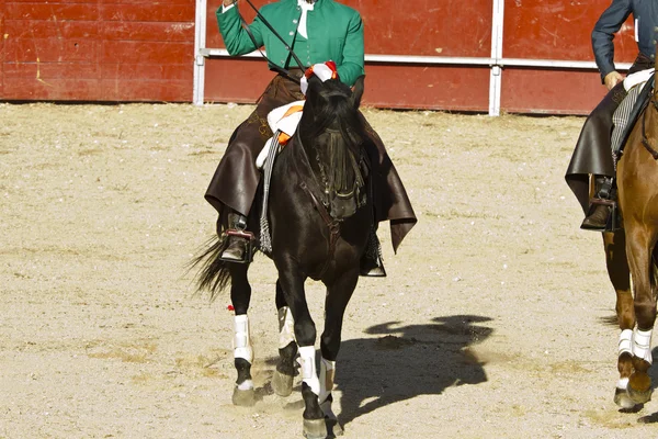 Fighting tjur bild från Spanien. Svarttjur — Stockfoto