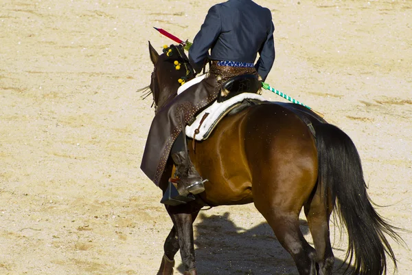 말을 타고 투우입니다. 전형적인 스페인 투우. — 스톡 사진