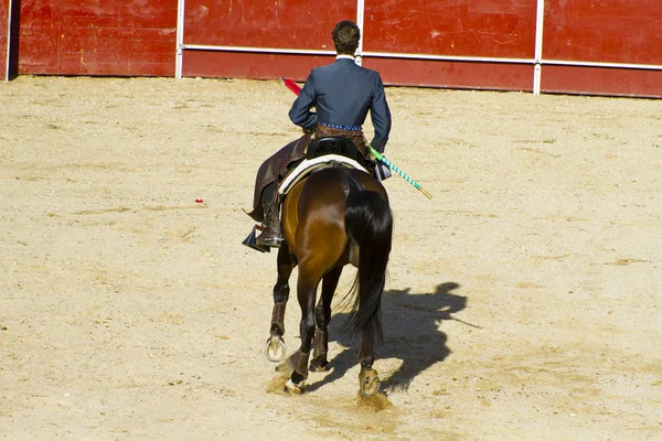 Walczący byk z Hiszpanii. Byk czarny — Zdjęcie stockowe